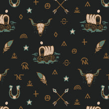 Load image into Gallery viewer, Western Night
