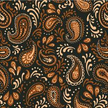 Load image into Gallery viewer, Vintage Tricolor Paisley
