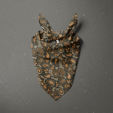 Load image into Gallery viewer, Vintage Tricolor Paisley
